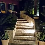 Aloe Vilă