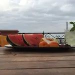 Aloe Vilă