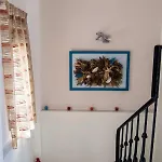 Aloe Vilă *